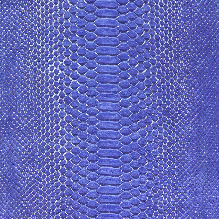 Molurus - B.C - 196-2