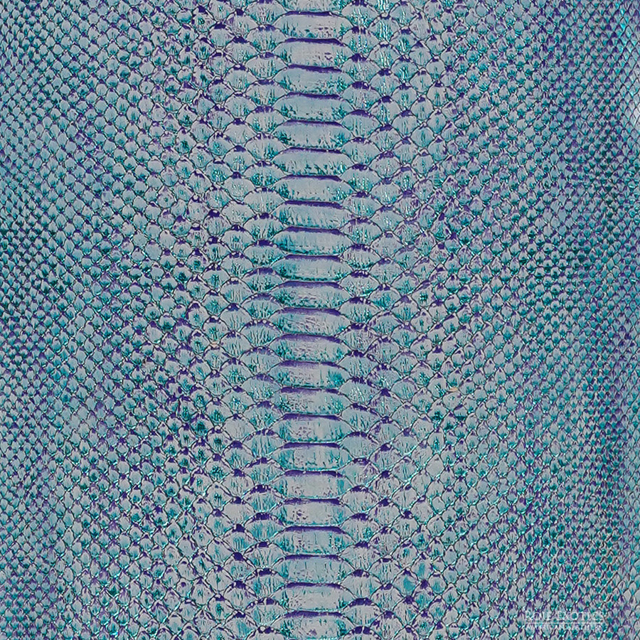 Molurus - B.C - 251-2