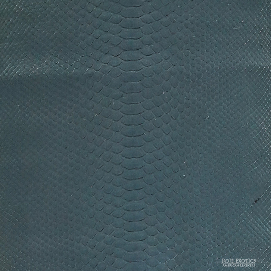 Molurus - B.C  - 437