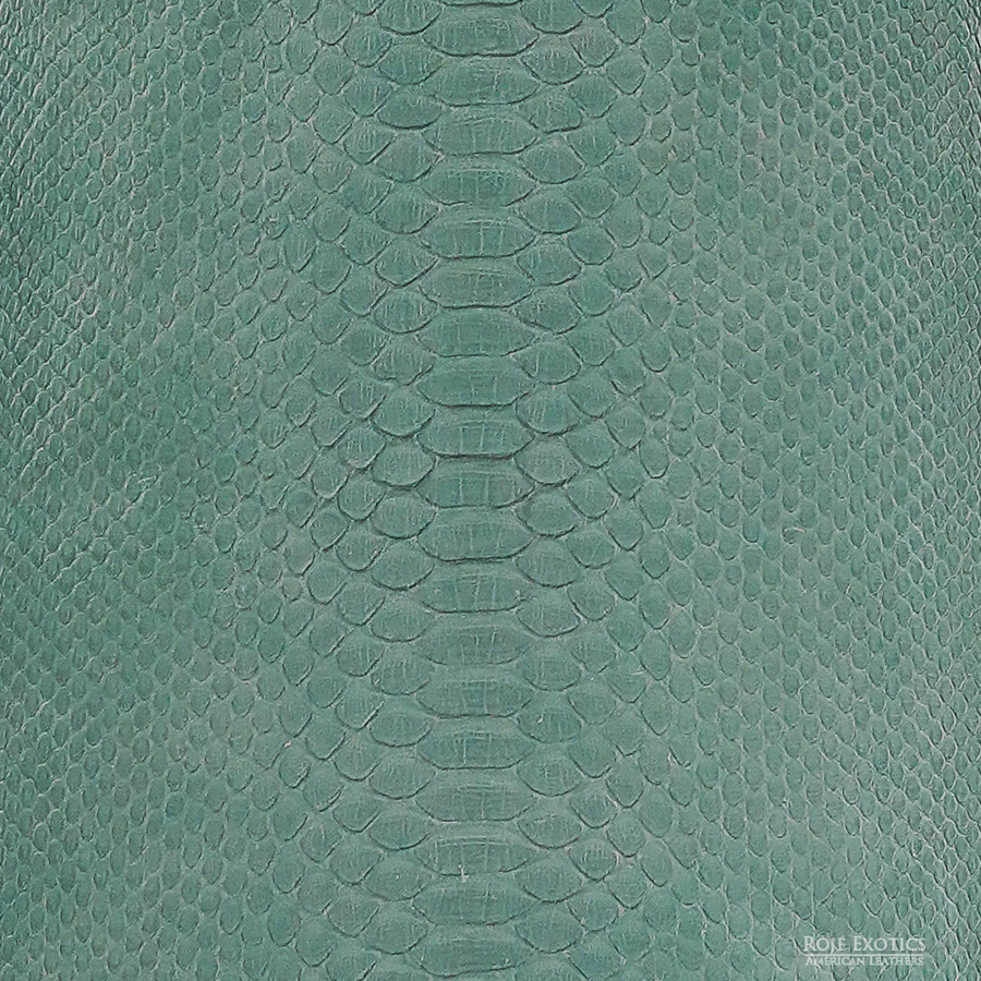 Molurus - B.C  - 439