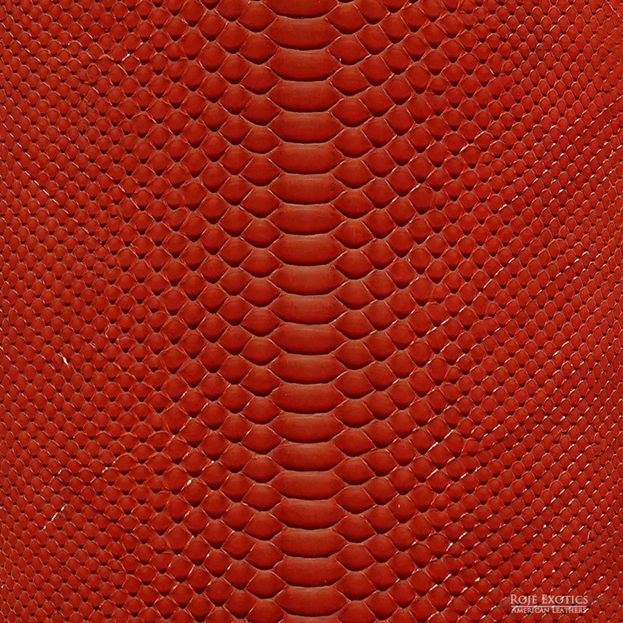 Molurus - B.C  -  528-3