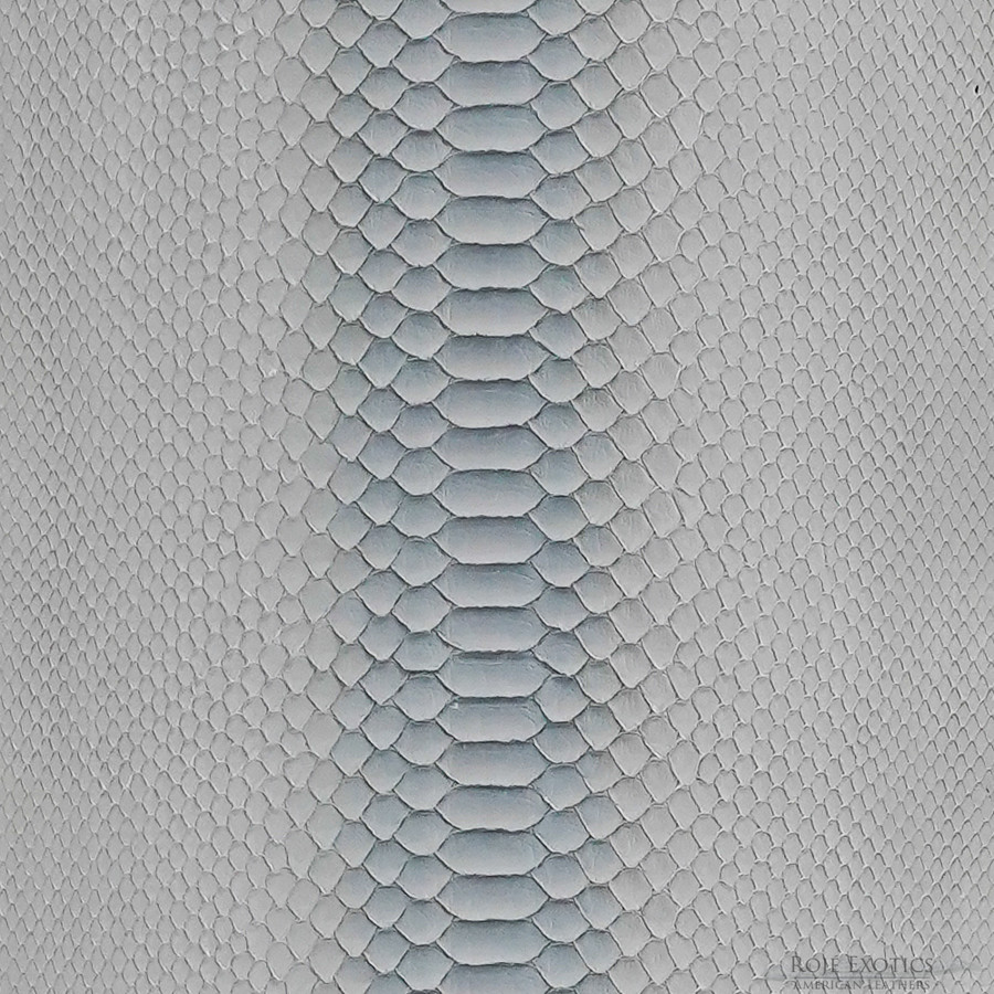 Molurus - B.C  -  558-2