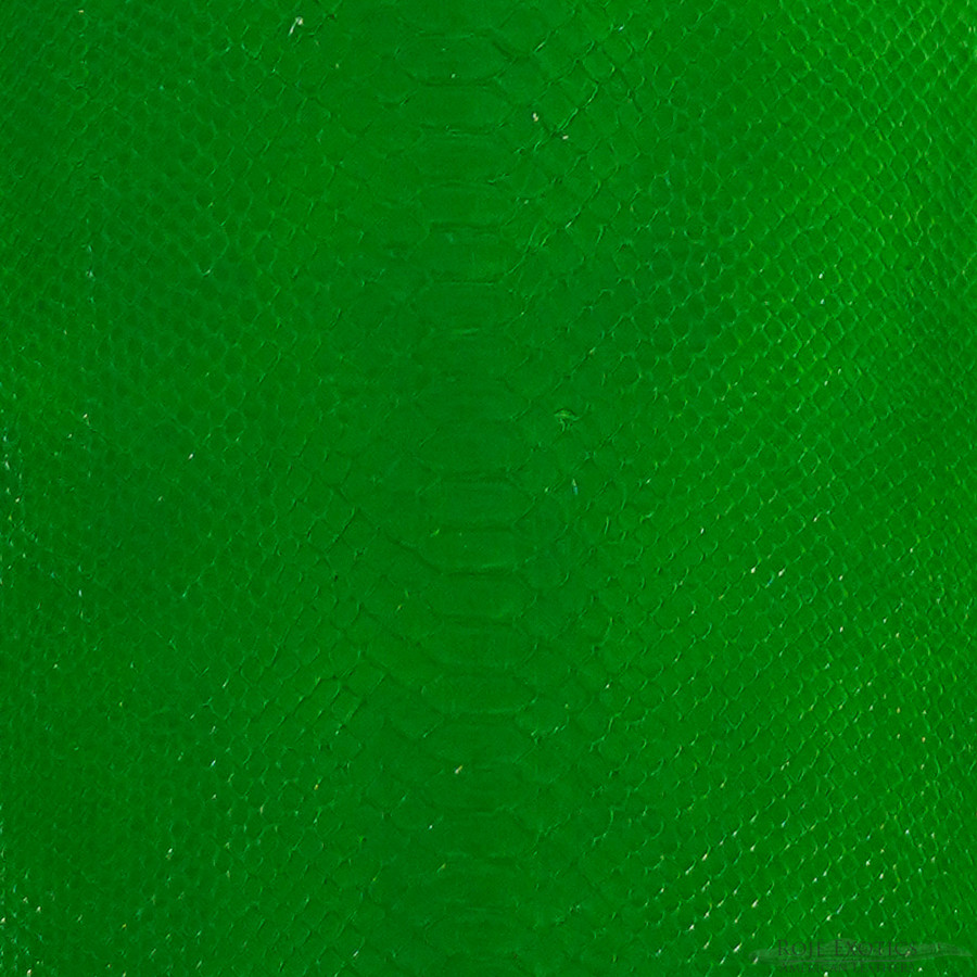 Molurus - B.C  -  580