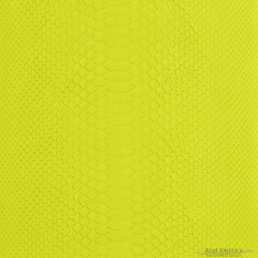 Molurus - B.C  -  584