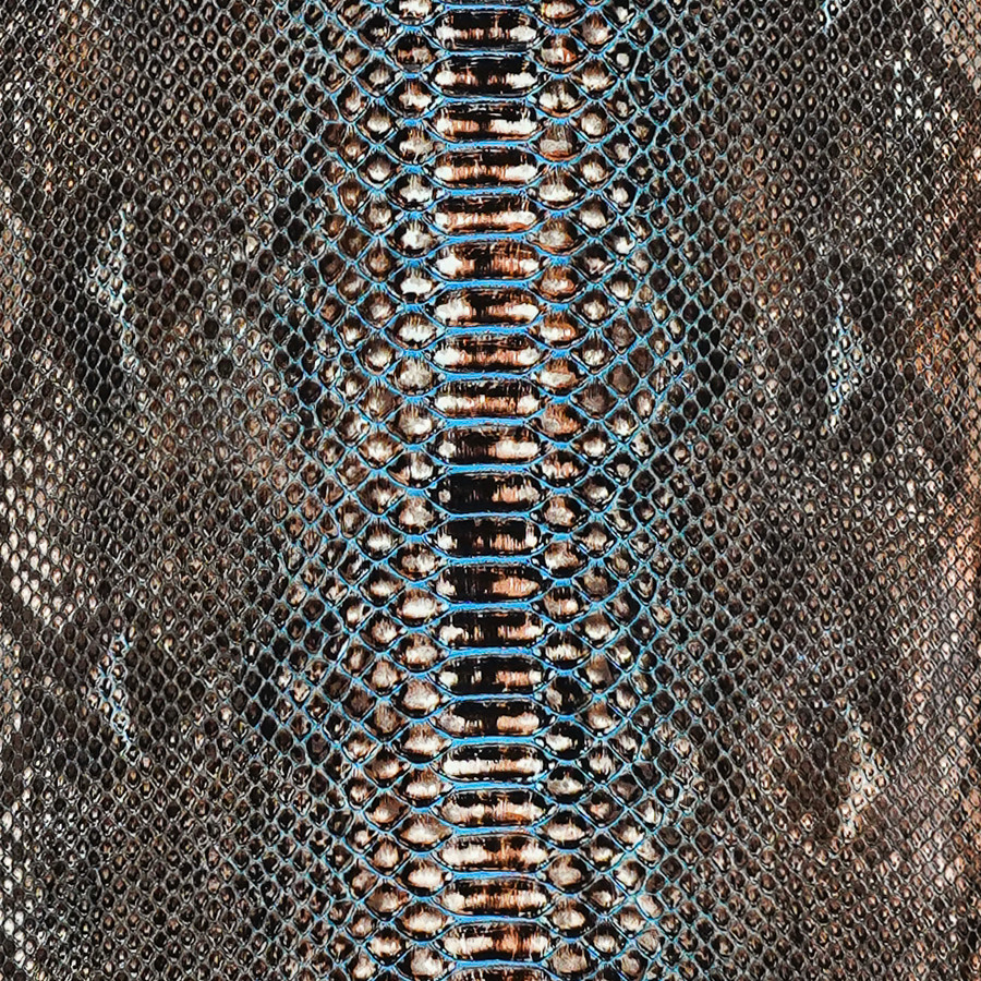 Reticulated - B.C  - 218-2