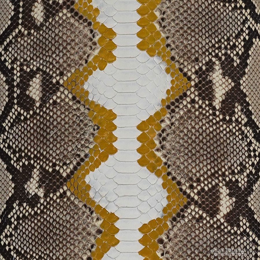 Reticulated - B.C. - U.B. - 280-2