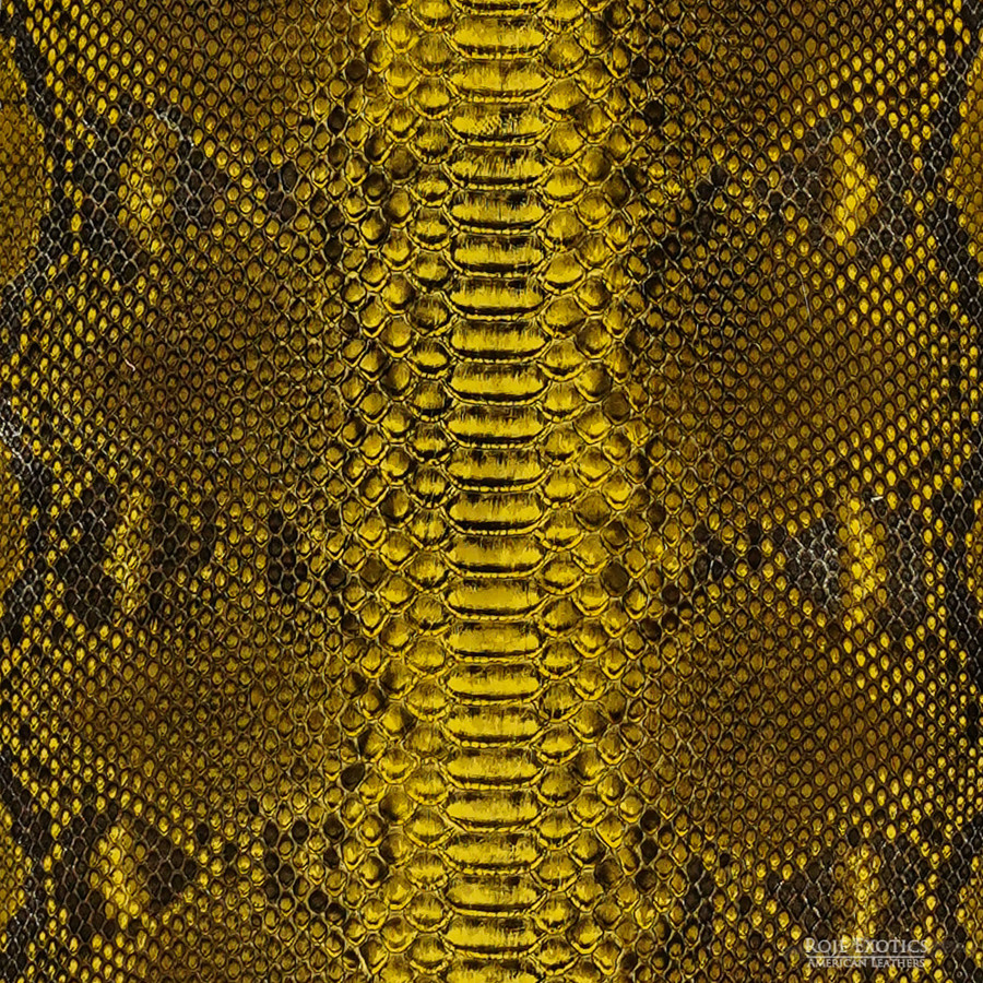 Reticulated - B.C. - U.B.  - 282-2