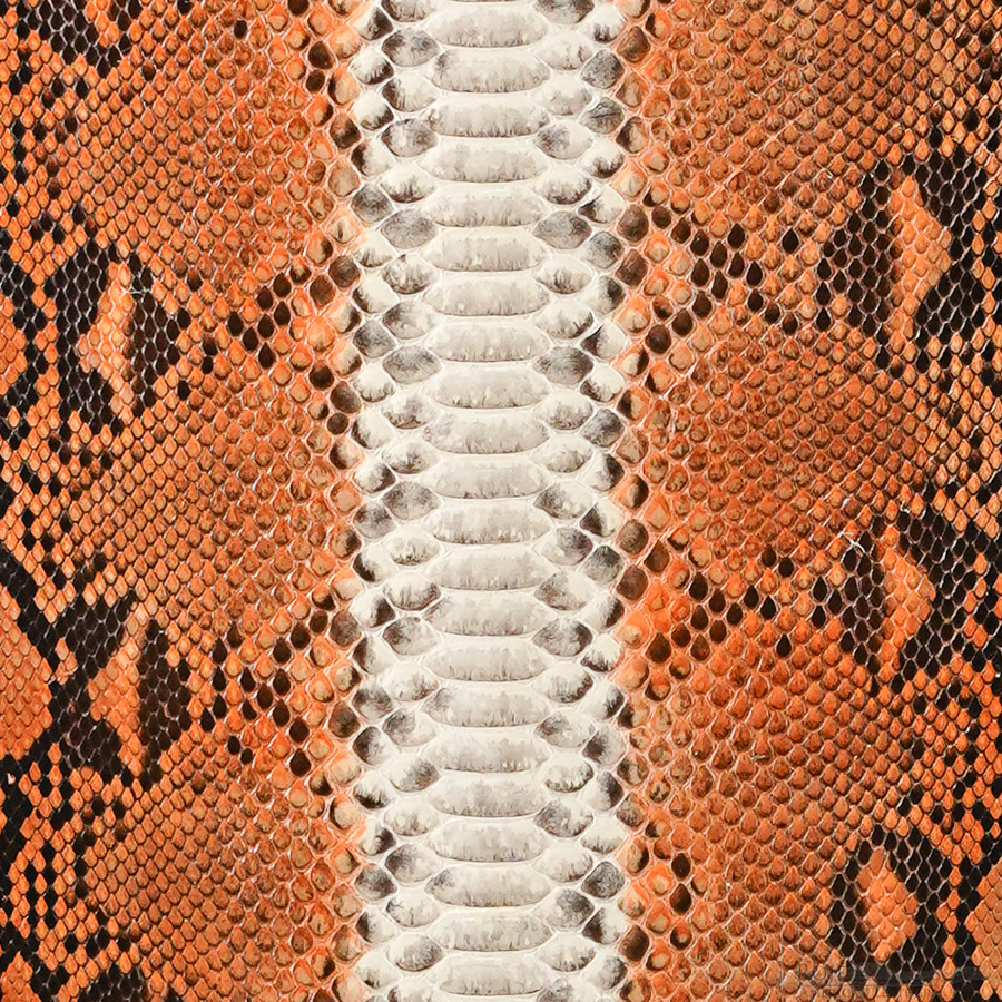 Reticulated - B.C. -  U.B. - 394