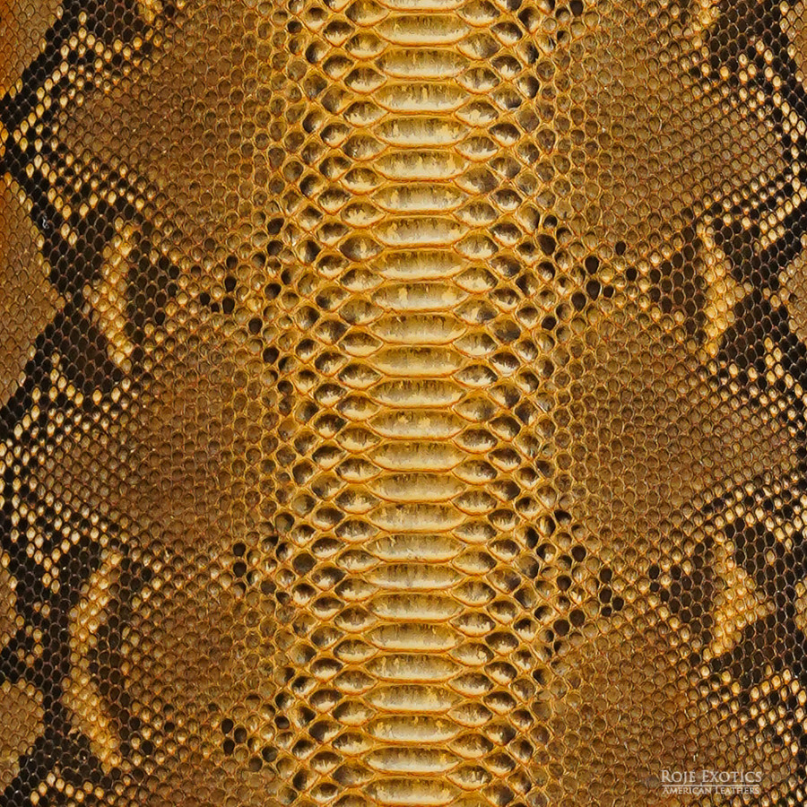 Reticulated - B.C. -  U.B. - 496