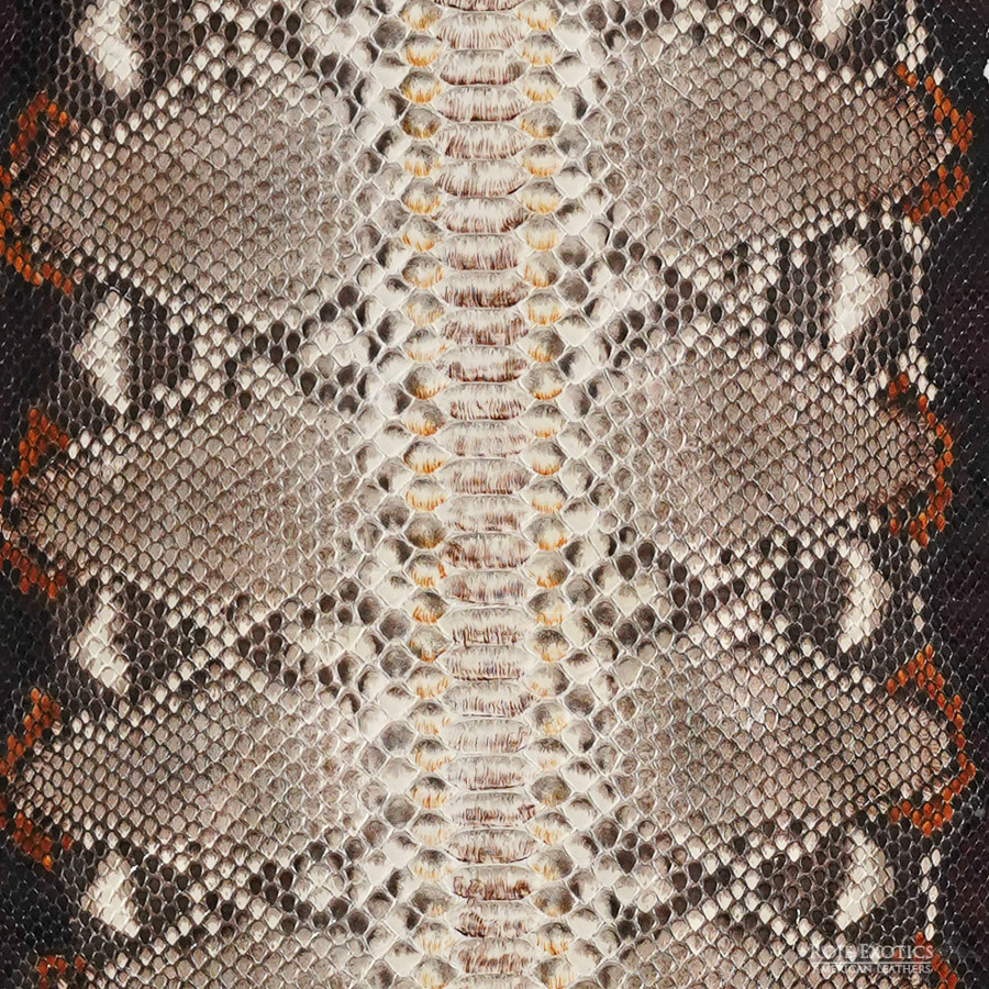 Reticulated - B.C. -  U.B. - 608