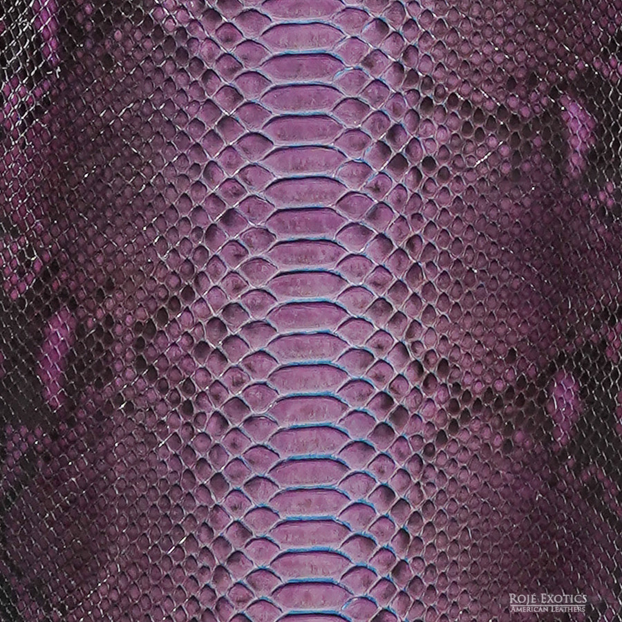 Reticulated - B.C. -  U.B.  - 746