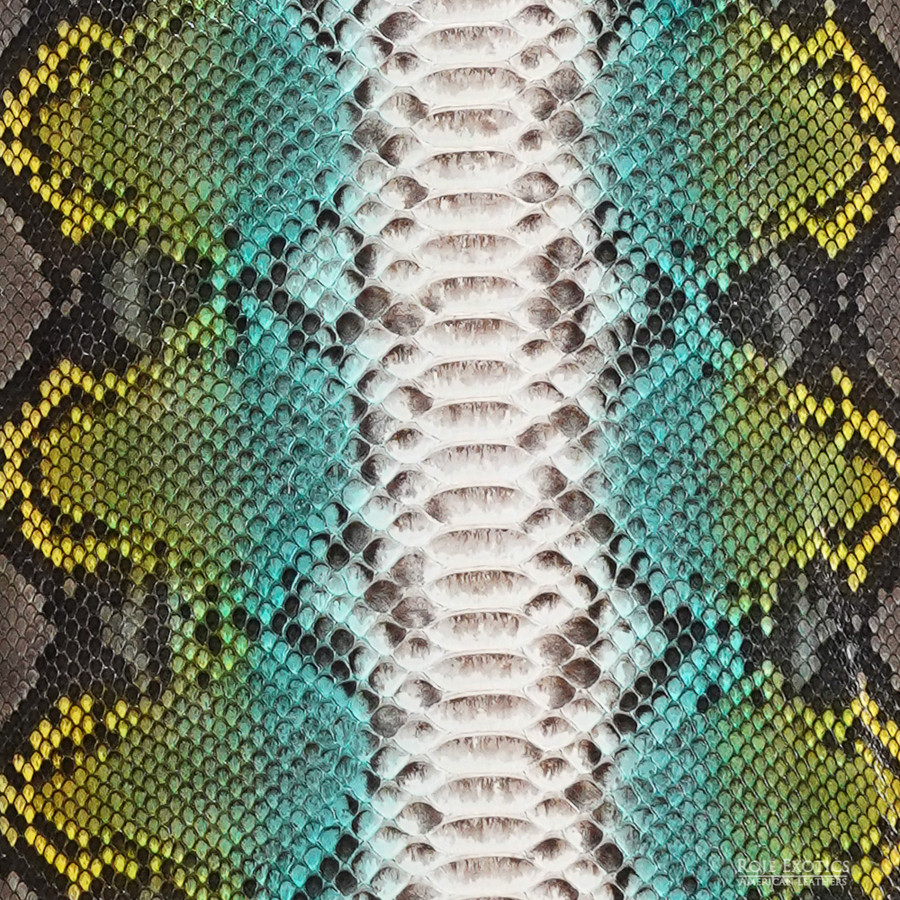 Reticulated - B.C. -  U.B. - 879