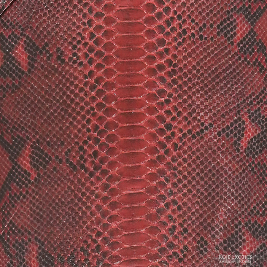 Reticulated - B.C  - 931