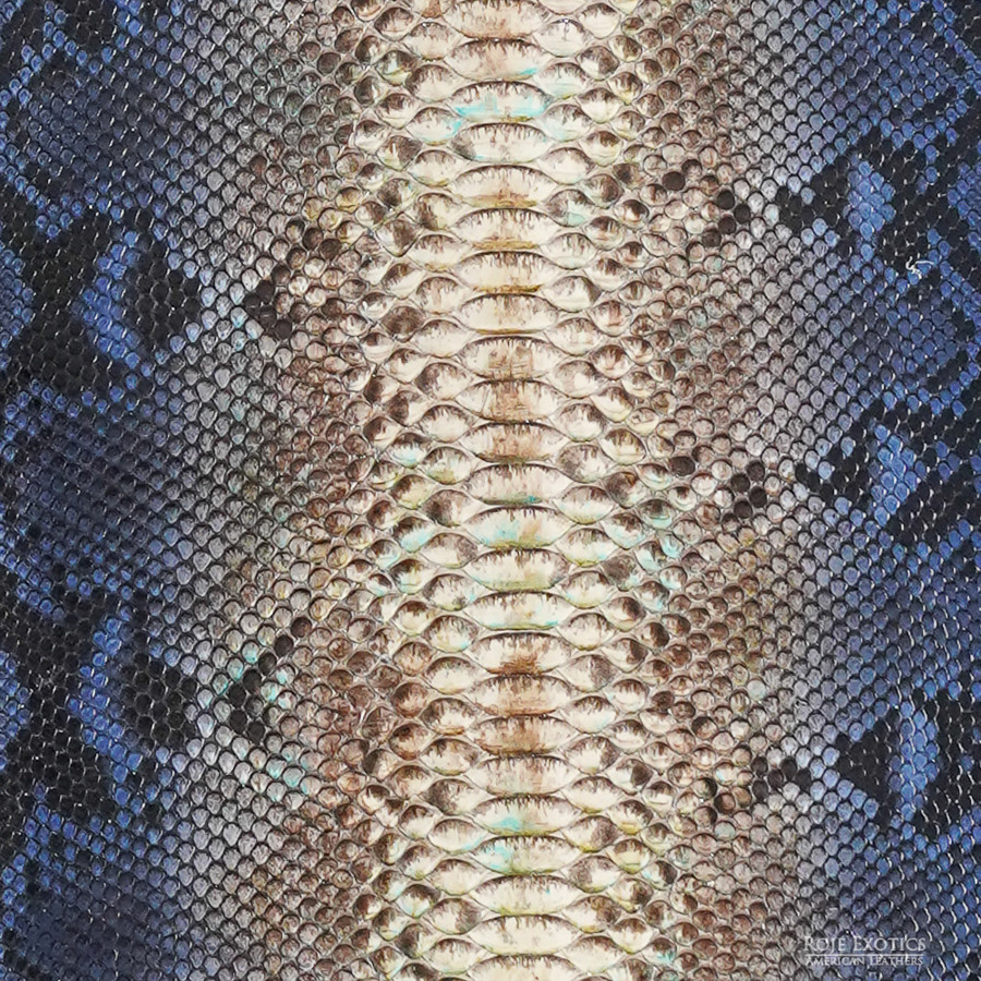 Reticulated - B.C. -  U.B.  - 964-2