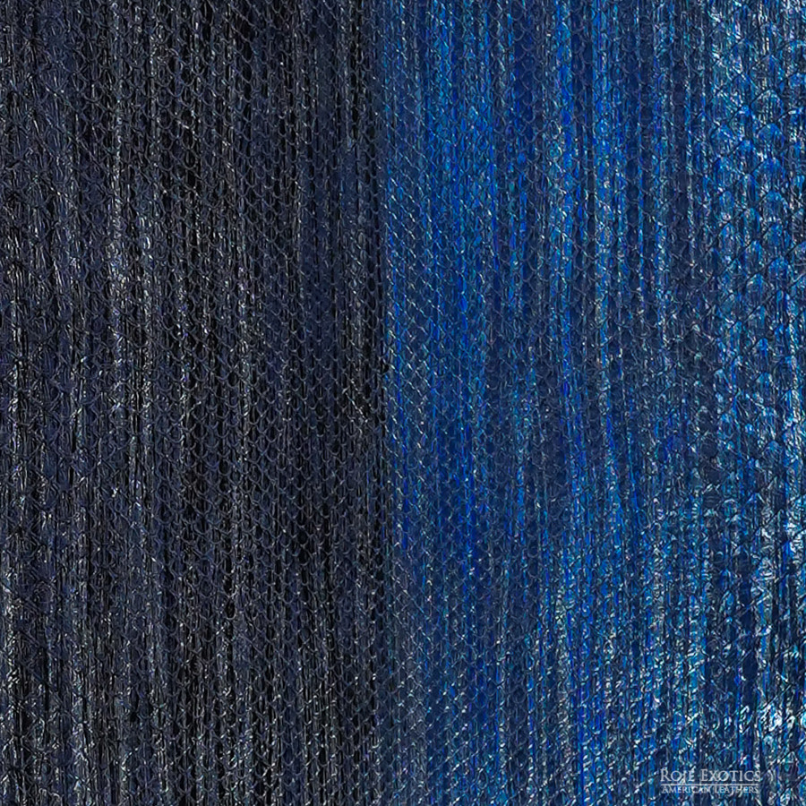 Molurus - F.C -  259-2