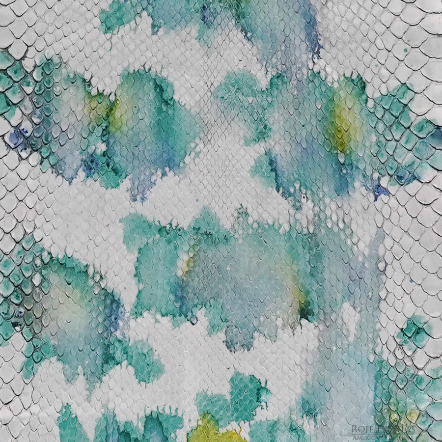 Molurus - F.C -  317