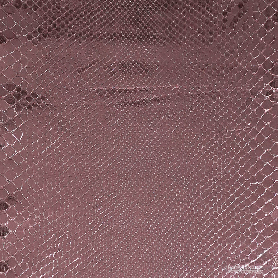 Molurus - F.C -  329