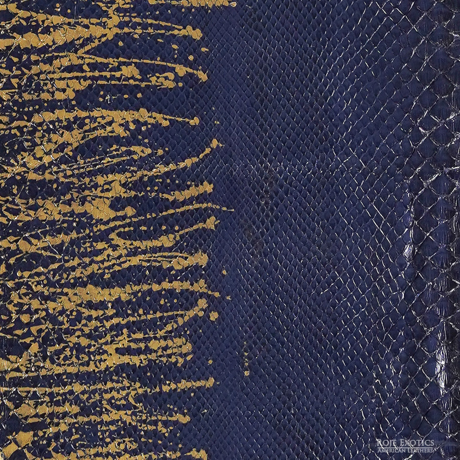 Molurus - F.C -  336