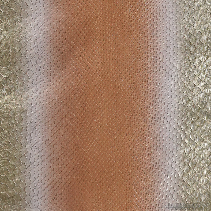 Molurus - F.C -  357