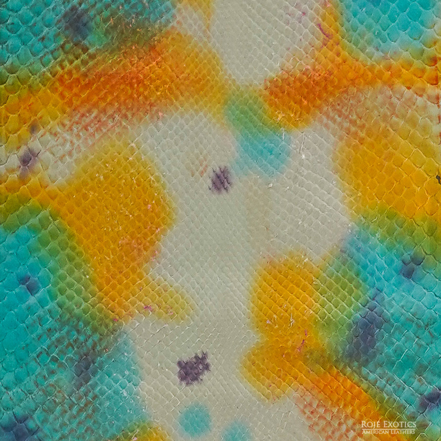 Molurus - F.C -  505-2