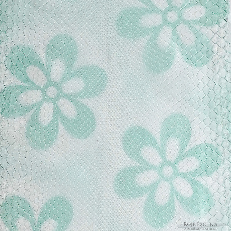 Molurus - F.C -  515