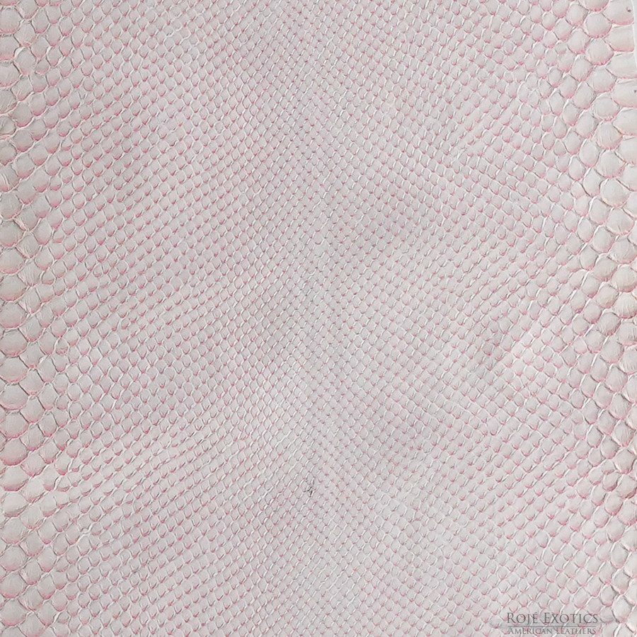 Molurus - F.C -   558