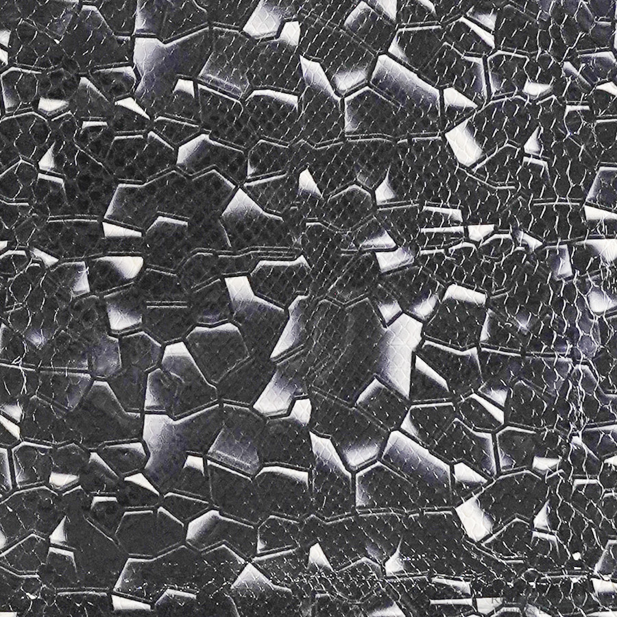 Molurus - F.C -  588