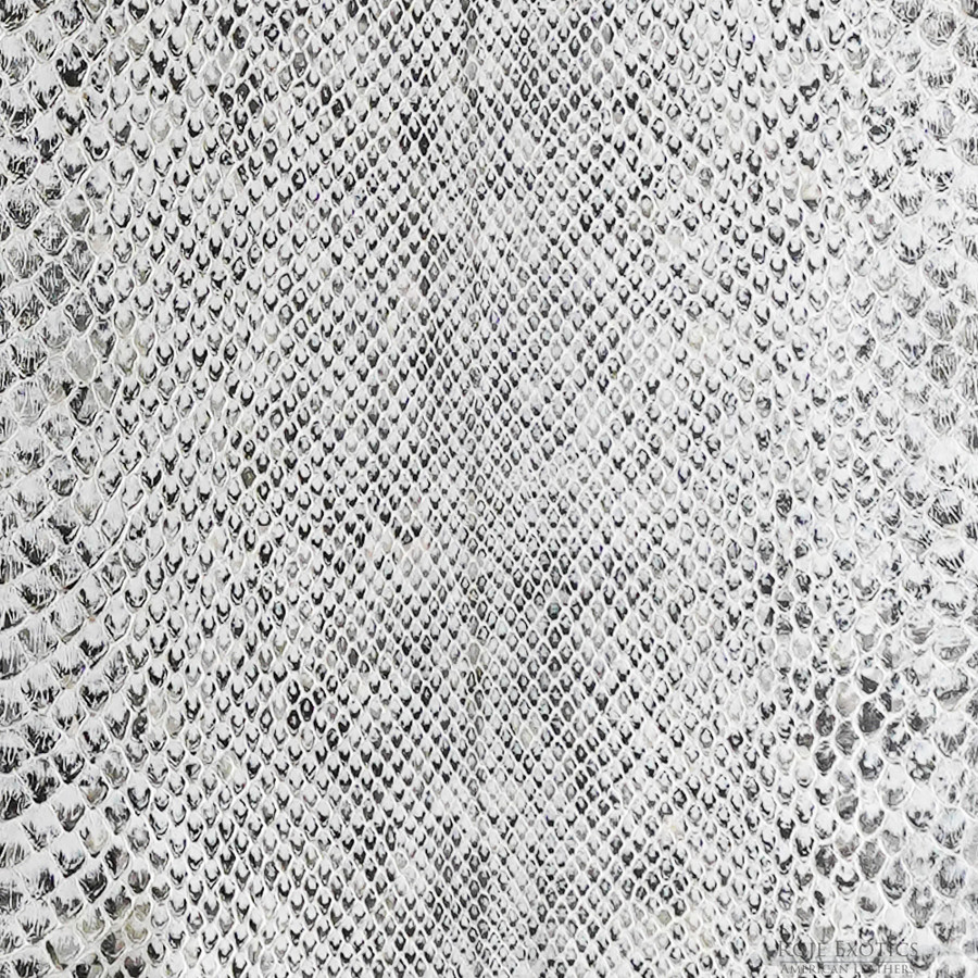 Molurus - F.C -  593