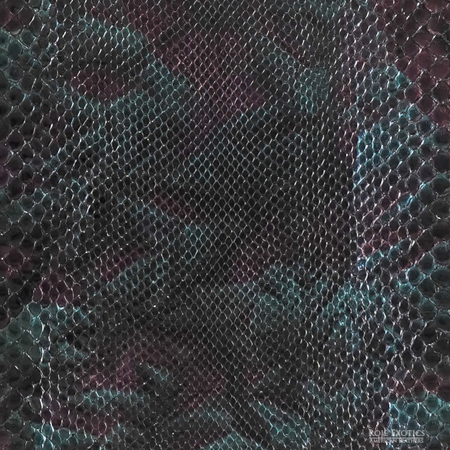 Molurus - F.C -  675