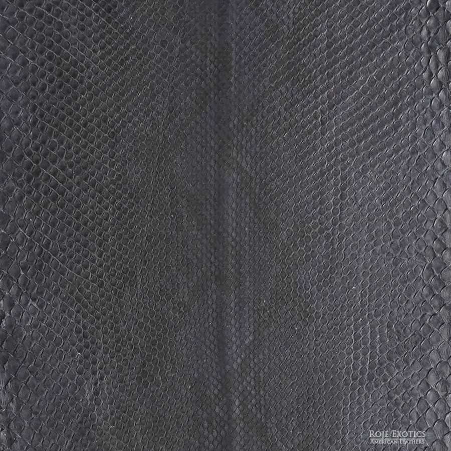 Molurus - F.C -  687