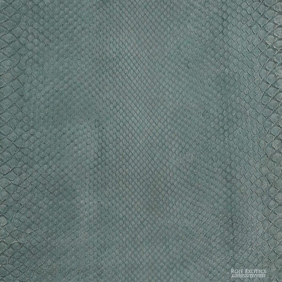 Molurus - F.C -  883