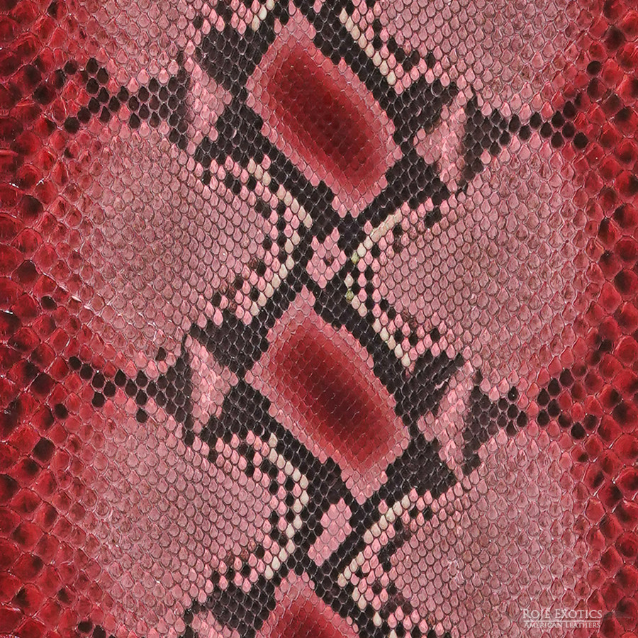 Reticulated - F.C. -  U.B.  - 002