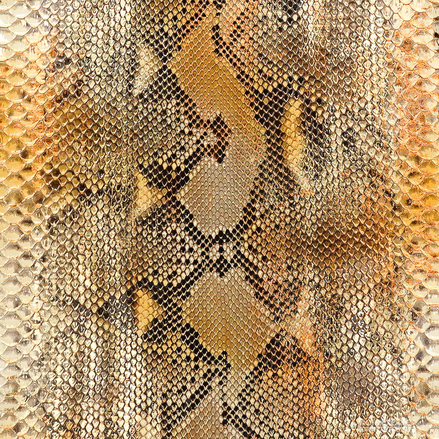 Reticulated - F.C. -  U.B. - 007