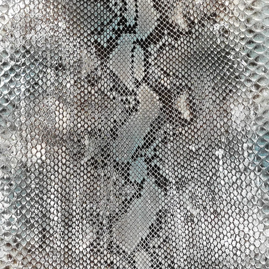 Reticulated - F.C. - U.B. - 015