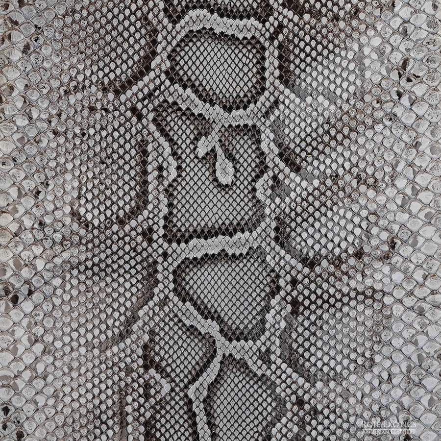 Molurus - F.C -  U.B. - 045