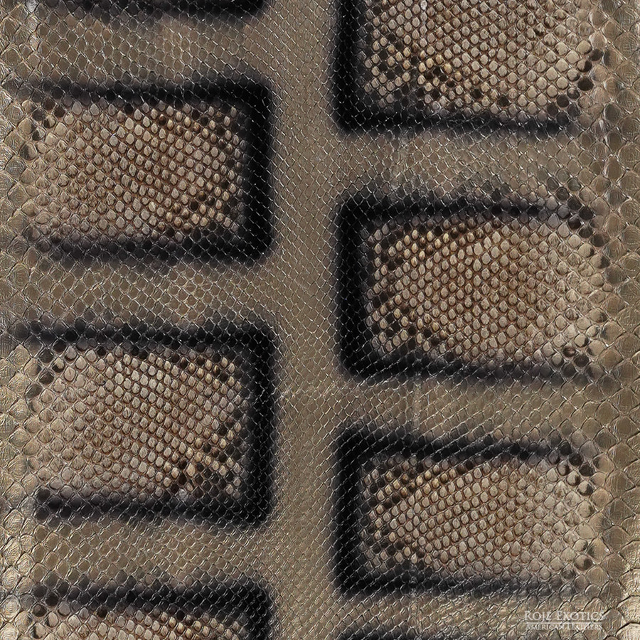 Reticulated - F.C. -  U.B. - 256-2