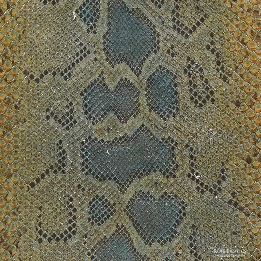 Molurus - F.C -  U.B. - 755