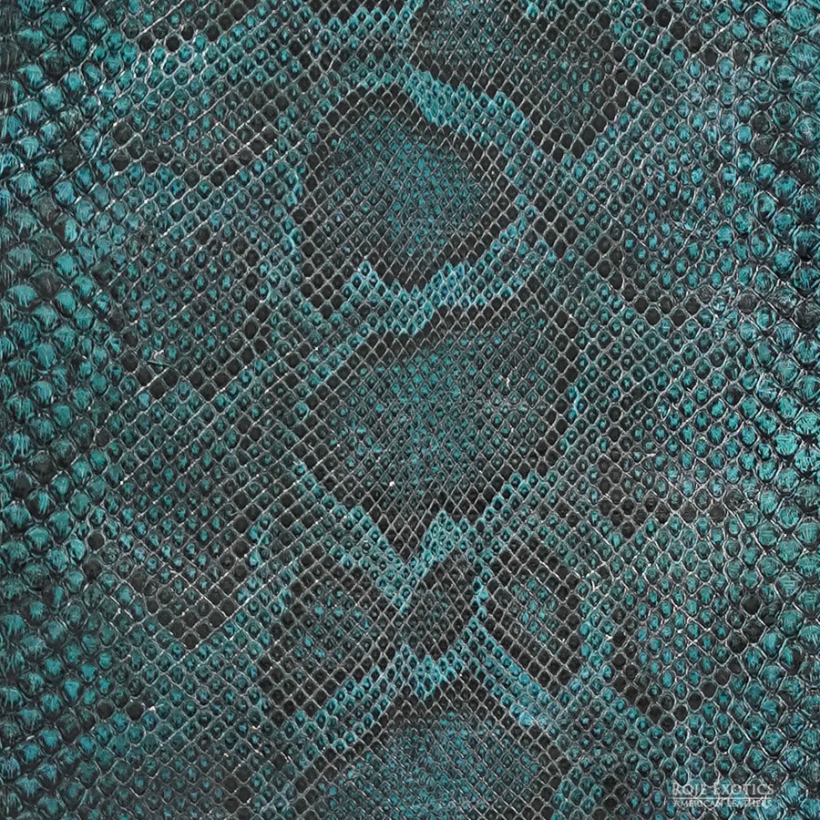 Molurus - F.C -  U.B. - 819