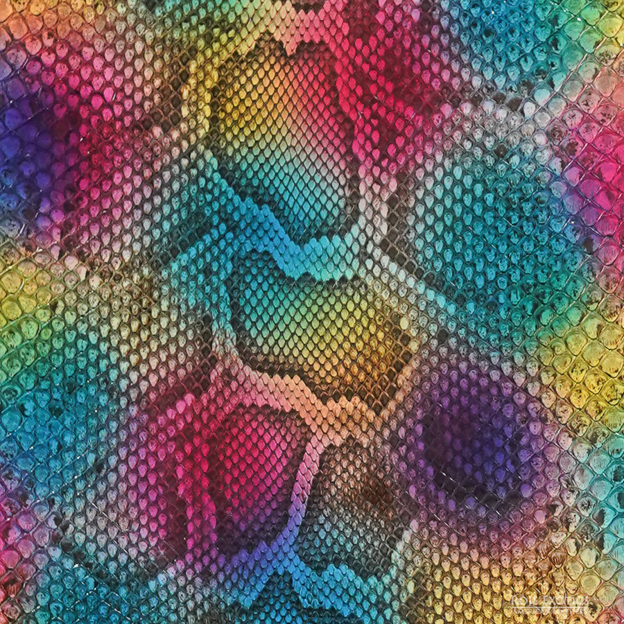 Molurus - F.C -  U.B. - 832