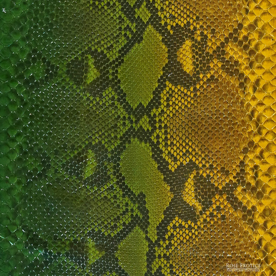 Reticulated - F.C -  976