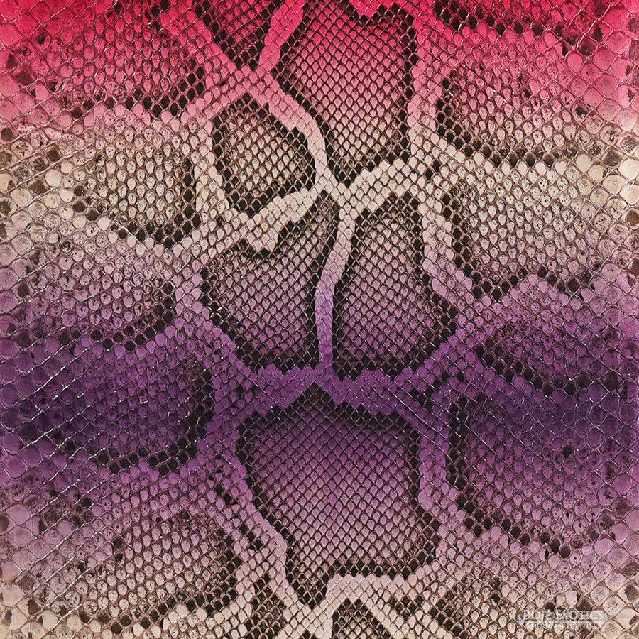 Molurus - F.C -  U.B. - 994-3