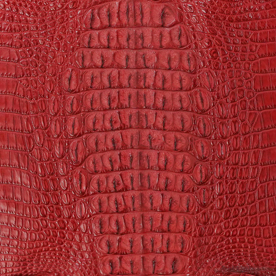 Niloticus - Hornback - Red