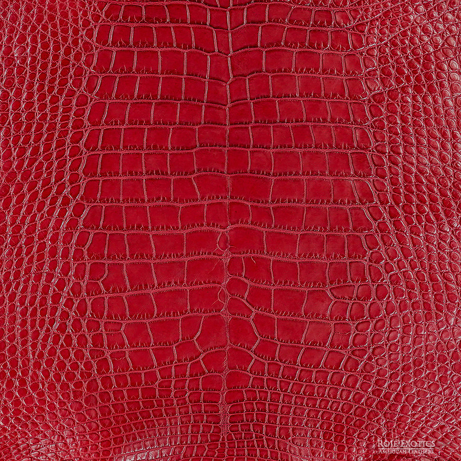 Alligator - Crimson  -  Matte