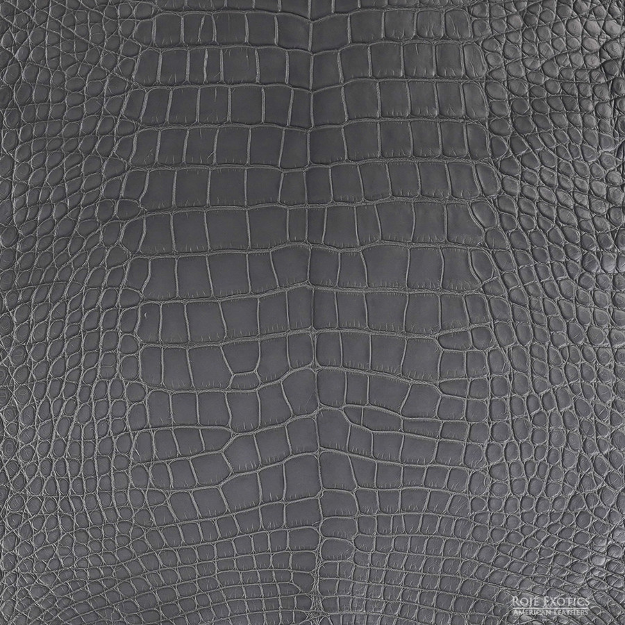 Alligator - S. Grey - Matte