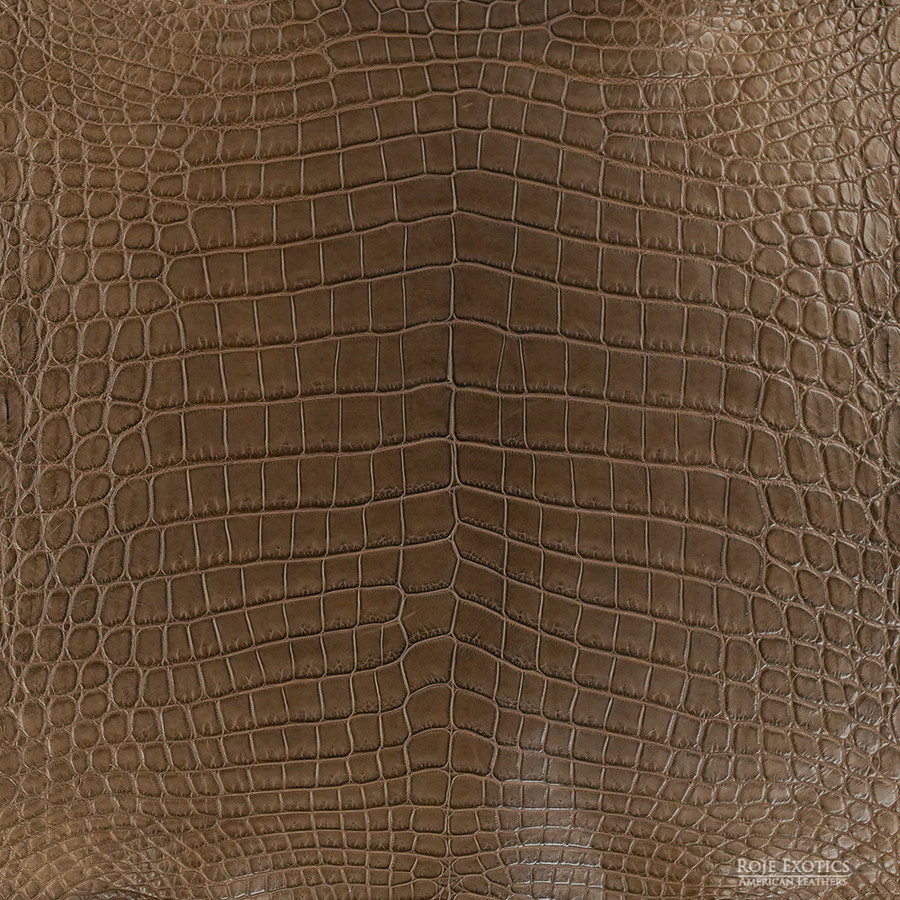 Niloticus - Olive - Matte