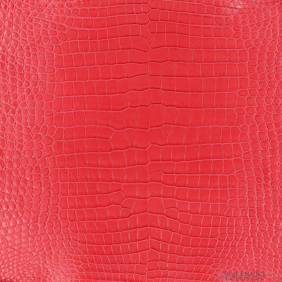 Porosus - Rose - Matte