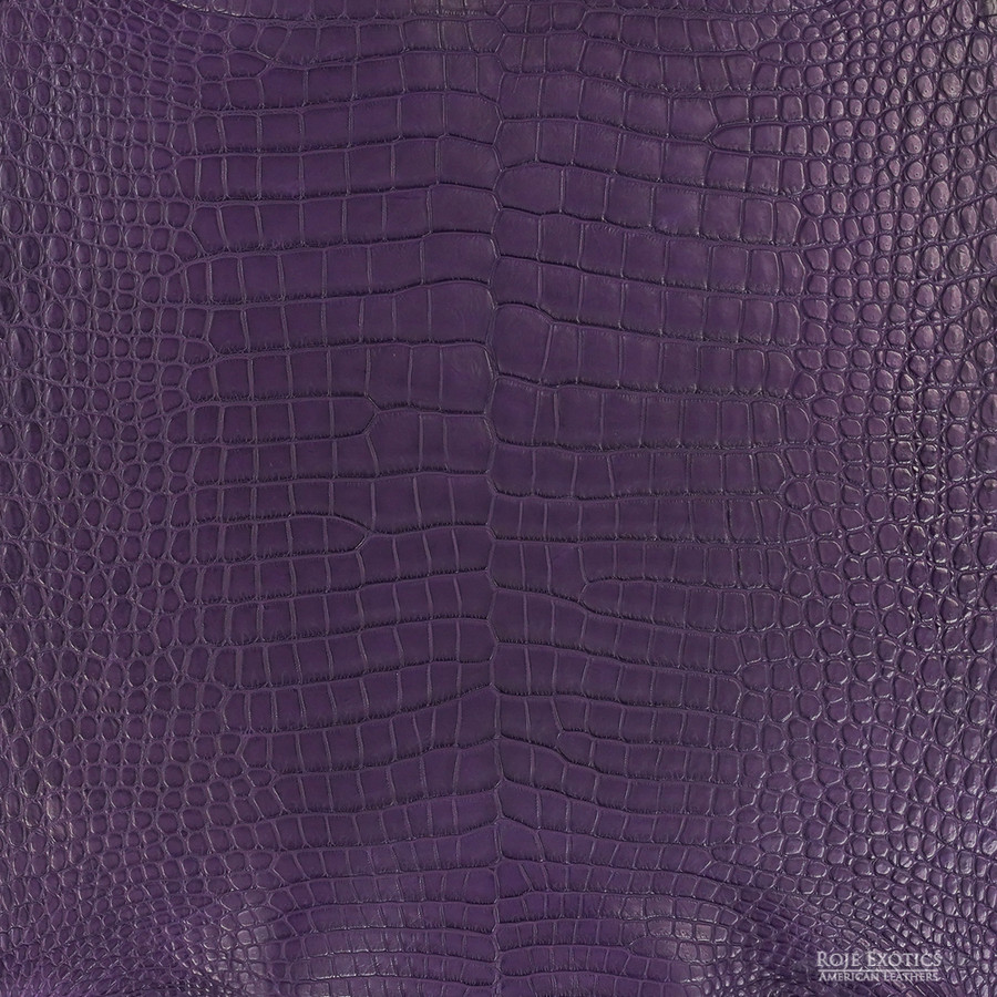 Porosus - Plum - Matte