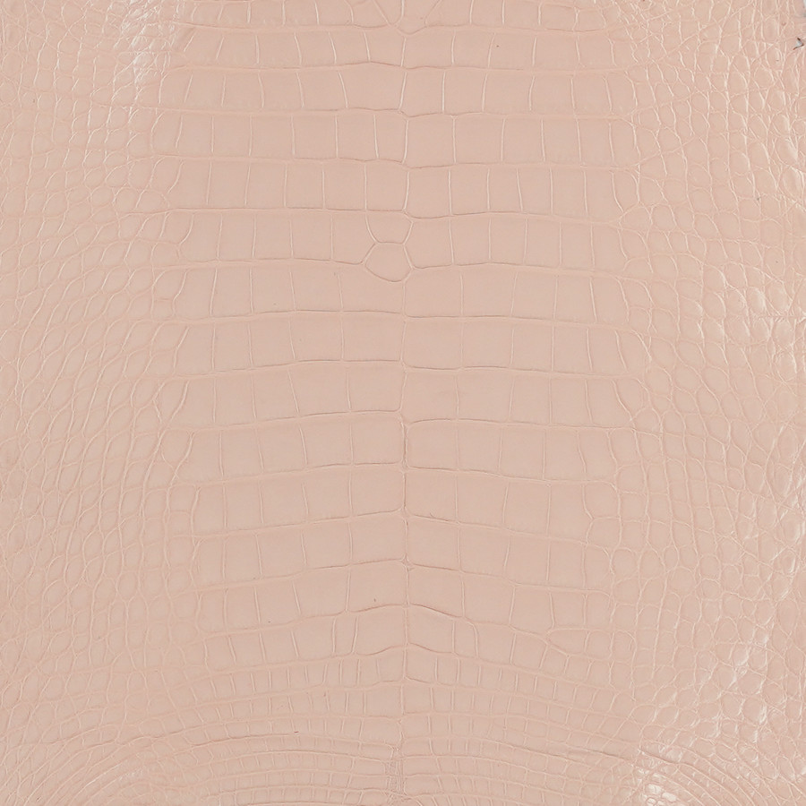 Alligator - Peach - Millennium 