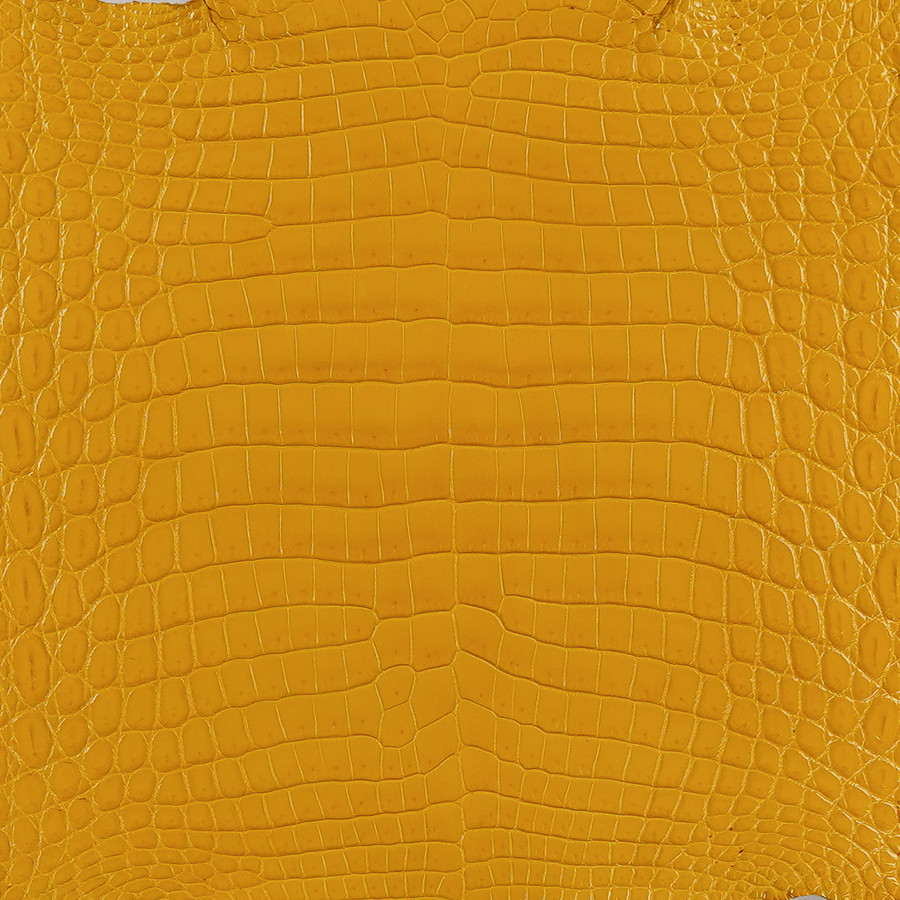 Niloticus - Mustard - Millennium 