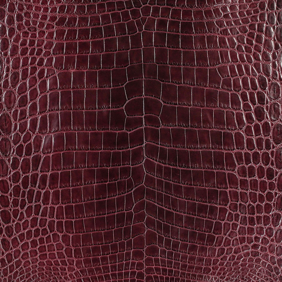 Niloticus - Red 44 - Millennium 